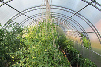 Теплица Ферма шаг 0.67 метра